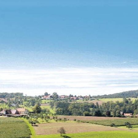 Gasthaus Pension Heidhof Freiamt Dış mekan fotoğraf